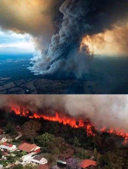 澳大利亚山火最新爆料  第3张